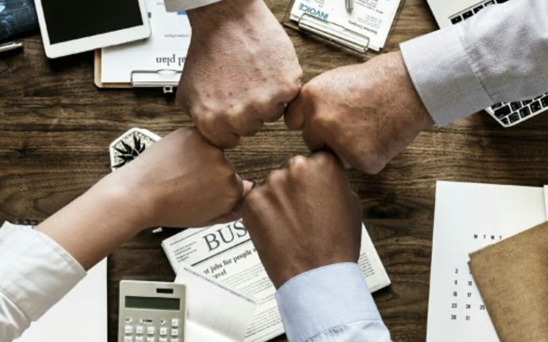 Casi di successo: la flessibilità come opportunità, tra tutele e nuove professioni: Fin4Coop per Doc Servizi